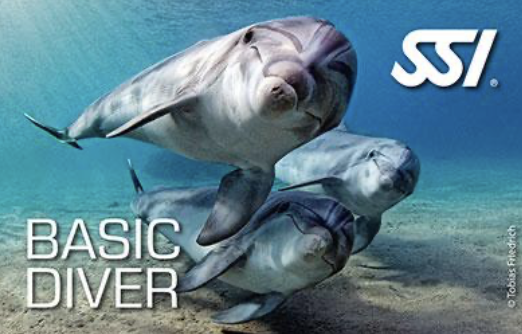 SSI Basic Diver program görseli
