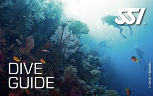 SSI Dive Guide program görseli