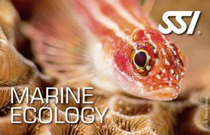 SSI Marine Ecology program görseli