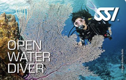 SSI Open Water Diver program görseli