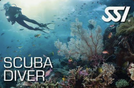 SSI Scuba Diver program görseli