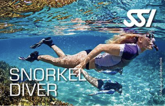 SSI Snorkel Diver program görseli